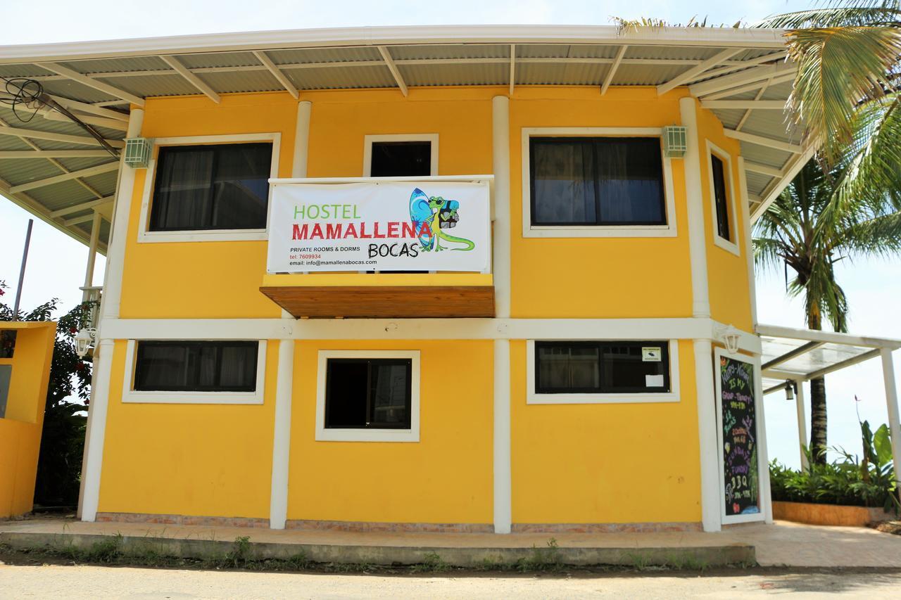 Hostel Mamallena Bocas Del Toro (Adults Only) Kültér fotó