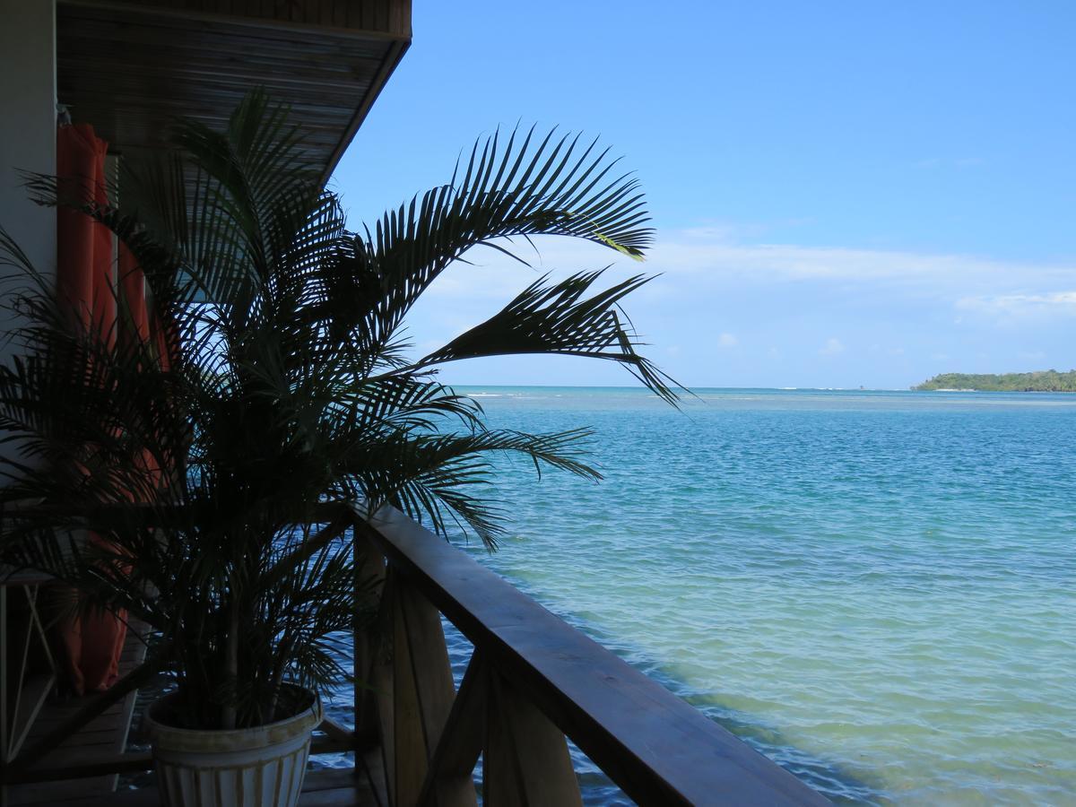 Hostel Mamallena Bocas Del Toro (Adults Only) Kültér fotó